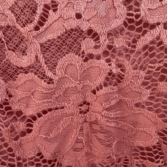 New! Lane Bryant Pink Lace Swing Dress, Mini length, Size 26/28 - Picture 5 of 13